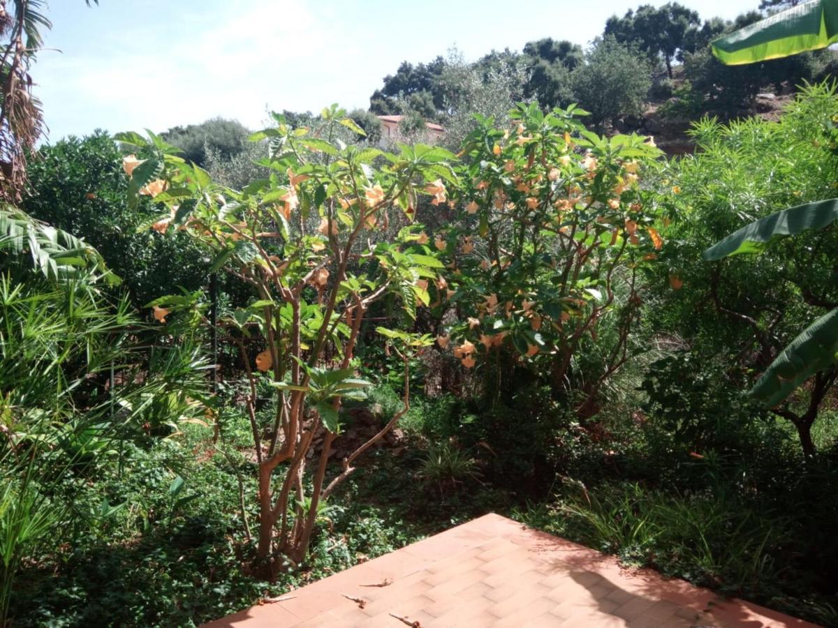 Stanza In Villa Con Giardino Vista Mare Cefalù Extérieur photo