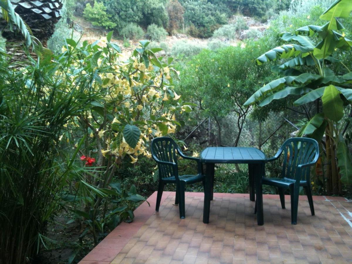 Stanza In Villa Con Giardino Vista Mare Cefalù Extérieur photo