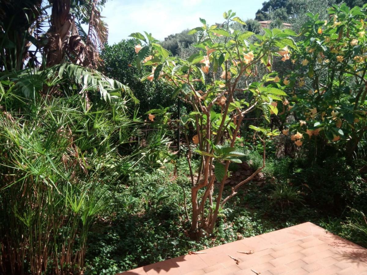Stanza In Villa Con Giardino Vista Mare Cefalù Extérieur photo